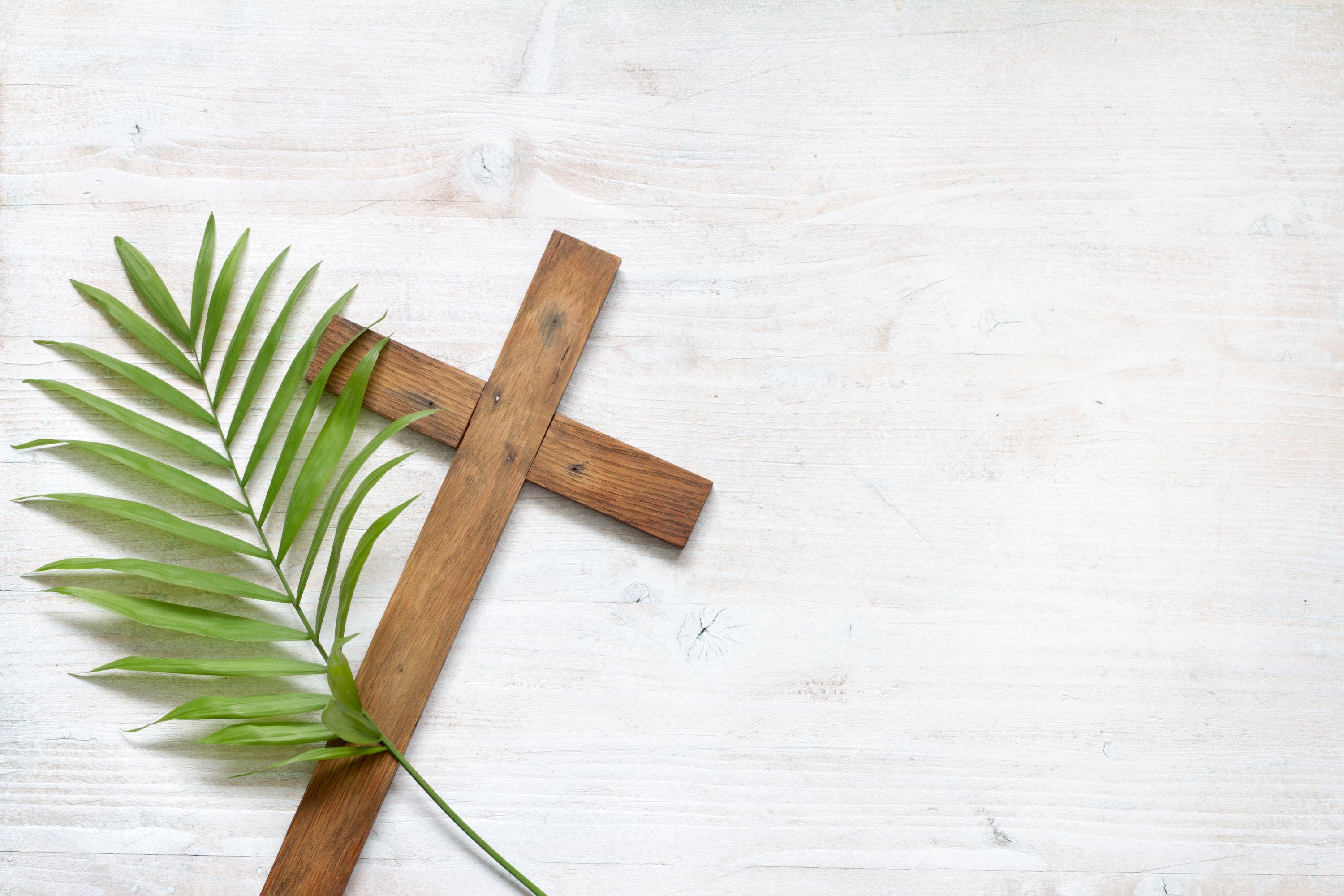 2023 04 Palm Sunday 10.15am - 