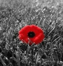 armistice-day 2
